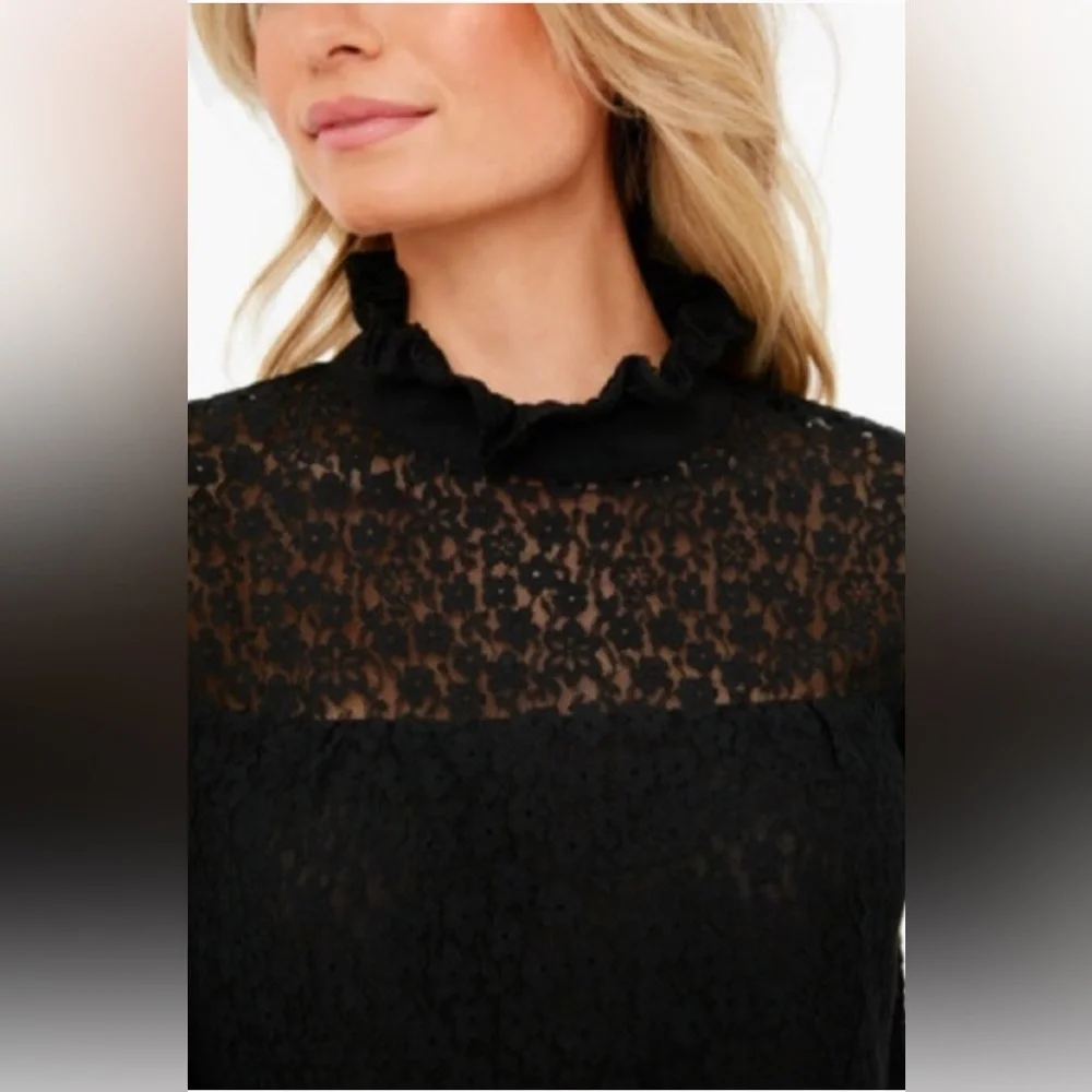 Tuckernuck Black Lace High-Neck Sheer Puff-Sleeve Quiet Luxury Blouse